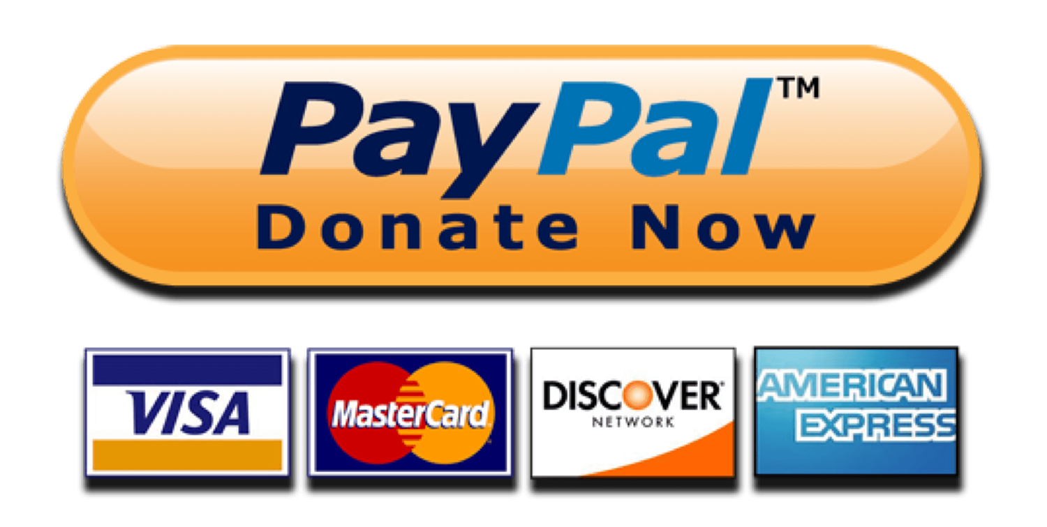 PayPal Donate Now Button CC Icons